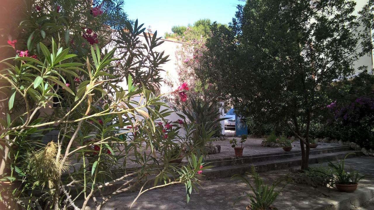 B&B Villa Il Carrubo San Vito Lo Capo Exterior foto