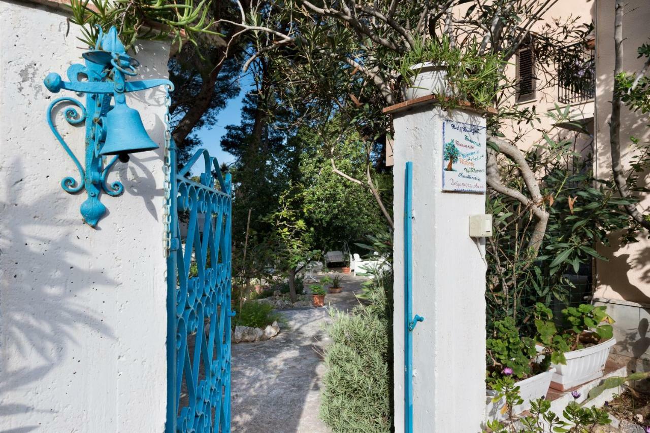 B&B Villa Il Carrubo San Vito Lo Capo Exterior foto